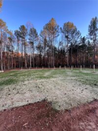 5009 E NC 10 Highway, Catawba, NC 28609, MLS # 4203196 - Photo #26