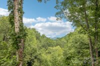 1002 Garren Creek Road, Fairview, NC 28730, MLS # 4203203 - Photo #41