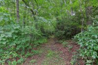 1002 Garren Creek Road, Fairview, NC 28730, MLS # 4203203 - Photo #43