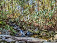 2698 Connestee Trail, Brevard, NC 28712, MLS # 4203346 - Photo #32