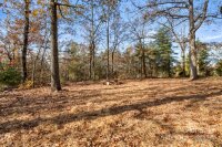 1749 New House Road, Shelby, NC 28150, MLS # 4203382 - Photo #29