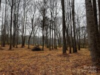 150 Lookout Dam Road, Statesville, NC 28625, MLS # 4203410 - Photo #30