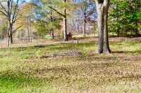 245 Davis Lake Road, Forest City, NC 28043, MLS # 4203710 - Photo #5