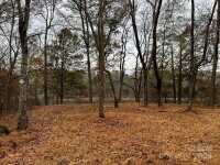 156 Lookout Dam Road, Statesville, NC 28625, MLS # 4204065 - Photo #17