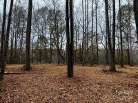 156 Lookout Dam Road, Statesville, NC 28625, MLS # 4204065 - Photo #18