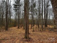 156 Lookout Dam Road, Statesville, NC 28625, MLS # 4204065 - Photo #21