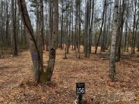 156 Lookout Dam Road, Statesville, NC 28625, MLS # 4204065 - Photo #22