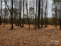 155 Lookout Dam Road, Statesville, NC 28625, MLS # 4204073 - Photo #24