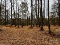 155 Lookout Dam Road, Statesville, NC 28625, MLS # 4204073 - Photo #25