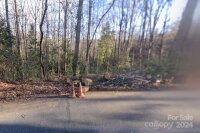 957 Martinat Drive Unit lot  , Morganton, NC 28655, MLS # 4204177 - Photo #9