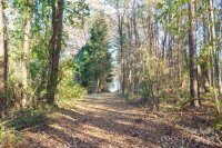 4395 Pine Harbor Drive, Denver, NC 28037, MLS # 4205277 - Photo #44