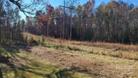 9440 Taxahaw Road, Jefferson, SC 29720, MLS # 4205344 - Photo #3