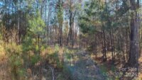 9440 Taxahaw Road, Jefferson, SC 29720, MLS # 4205344 - Photo #29