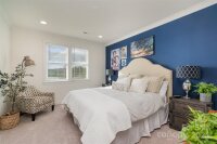 112 Sisters Cove Court, Mooresville, NC 28117, MLS # 4205379 - Photo #30