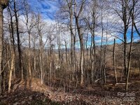 Billy Bob Trail, Waynesville, NC 28786, MLS # 4206381 - Photo #1