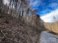 Billy Bob Trail, Waynesville, NC 28786, MLS # 4206381 - Photo #12