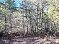 4298 Ridge Dale Lane, Morganton, NC 28655, MLS # 4206443 - Photo #30