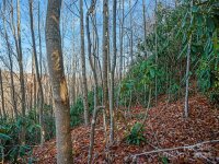 99999 Bay Laurel Lane # 1905, Hendersonville, NC 28791, MLS # 4206754 - Photo #19