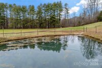 9675 Montford Cove Road, Marion, NC 28752, MLS # 4206983 - Photo #37