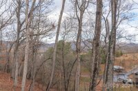 255 Cougar Trail, Clyde, NC 28716, MLS # 4207034 - Photo #10