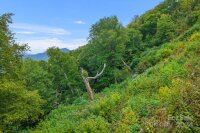 48 Overlook Drive # 48, Mars Hill, NC 28754, MLS # 4207402 - Photo #18