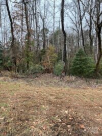 2322 Brookwood Drive, Valdese, NC 28690, MLS # 4207916 - Photo #30