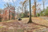 117 Channel Lane, Belmont, NC 28212, MLS # 4208747 - Photo #41