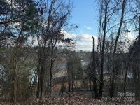 3 Crappie Cove Lane, Hickory, NC 28681, MLS # 4208775 - Photo #4