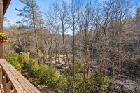 48 Blackgum Court, Hendersonville, NC 28739, MLS # 4209461 - Photo #42