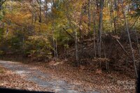 39 S Valley View Drive, Mars Hill, NC 28754, MLS # 4209686 - Photo #2