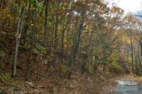 39 S Valley View Drive, Mars Hill, NC 28754, MLS # 4209686 - Photo #5