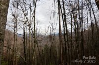 Jacks Knob Road, Barnardsville, NC 28709, MLS # 4210003 - Photo #1