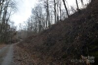 Jacks Knob Road, Barnardsville, NC 28709, MLS # 4210003 - Photo #3