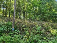 Jacks Knob Road, Barnardsville, NC 28709, MLS # 4210003 - Photo #6