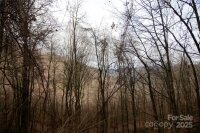 Jacks Knob Road, Barnardsville, NC 28709, MLS # 4210360 - Photo #3