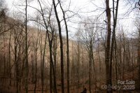 Jacks Knob Road, Barnardsville, NC 28709, MLS # 4210360 - Photo #5