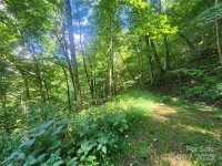 Jacks Knob Road, Barnardsville, NC 28709, MLS # 4210360 - Photo #8