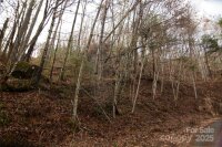 Green Ridge Falls Road, Barnardsville, NC 28709, MLS # 4210381 - Photo #1