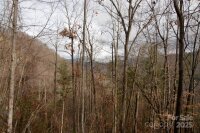 Green Ridge Falls Road, Barnardsville, NC 28709, MLS # 4210381 - Photo #2