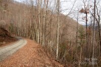 Green Ridge Falls Road, Barnardsville, NC 28709, MLS # 4210381 - Photo #3