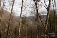 Green Ridge Falls Road, Barnardsville, NC 28709, MLS # 4210381 - Photo #4