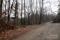 Green Ridge Falls Road, Barnardsville, NC 28709, MLS # 4210381 - Photo #5