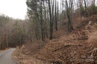 Green Ridge Falls Road, Barnardsville, NC 28709, MLS # 4210381 - Photo #6