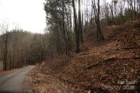 Green Ridge Falls Road, Barnardsville, NC 28709, MLS # 4210381 - Photo #7