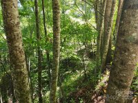 Green Ridge Falls Road, Barnardsville, NC 28709, MLS # 4210381 - Photo #11