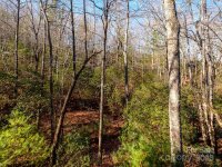 889 Kanasgowa Drive, Brevard, NC 28712, MLS # 4210526 - Photo #27