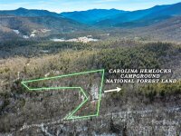 832 Patton Thicket Road, Burnsville, NC 28714, MLS # 4215234 - Photo #3