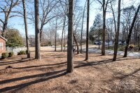 1250 Reese Roach Road, Rock Hill, SC 29730, MLS # 4216275 - Photo #26