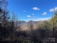 Wilson Cove Road, Canton, NC 28716, MLS # 4217506 - Photo #35