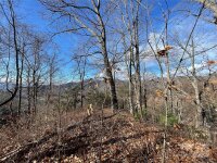 Wilson Cove Road, Canton, NC 28716, MLS # 4217506 - Photo #23